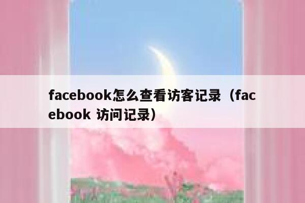 facebook怎么查看访客记录（facebook 访问记录） 第1张