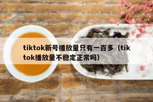 tiktok新号播放量只有一百多（tiktok播放量不稳定正常吗） 第1张