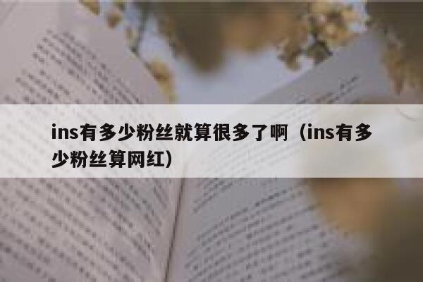 ins有多少粉丝就算很多了啊（ins有多少粉丝算网红） 第1张