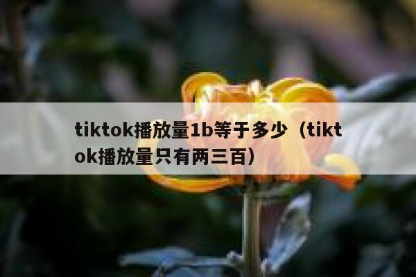 tiktok播放量1b等于多少(tiktok播放量只有两三百) 第1张 tiktok播放量1b等于多少(tiktok播放量只有两三百) 第1张