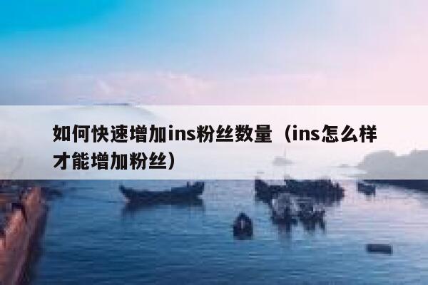 如何快速增加ins粉丝数量（ins怎么样才能增加粉丝） 第1张