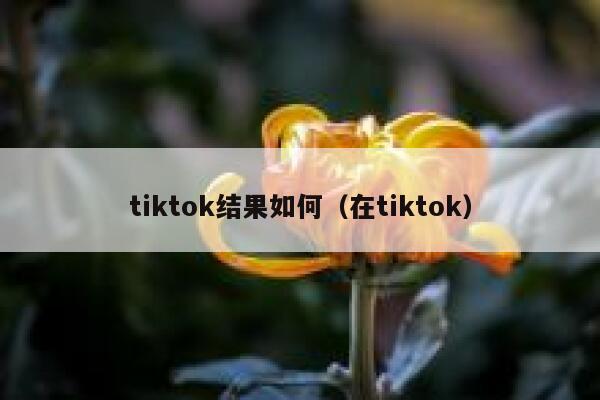 tiktok结果如何(在tiktok) 第1张 tiktok结果如何(在tiktok) 第1张