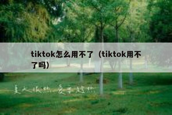 tiktok怎么用不了（tiktok用不了吗） 第1张