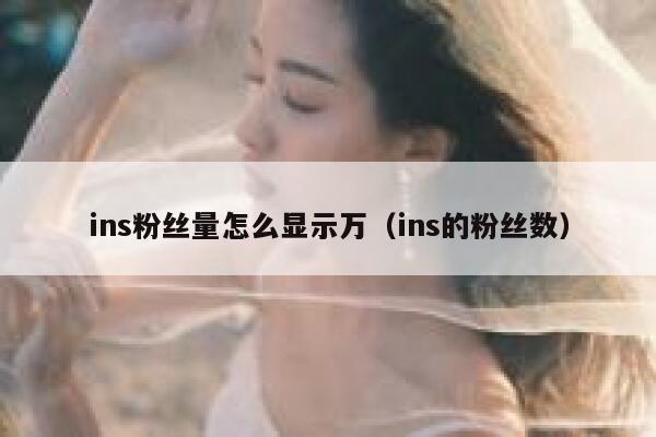 ins粉丝量怎么显示万（ins的粉丝数） 第1张