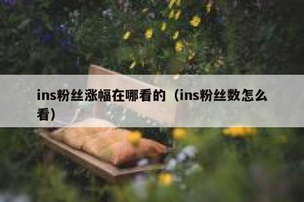 ins粉丝涨幅在哪看的（ins粉丝数怎么看） 第1张