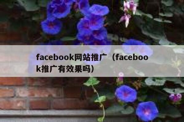 facebook网站推广（facebook推广有效果吗） 第1张