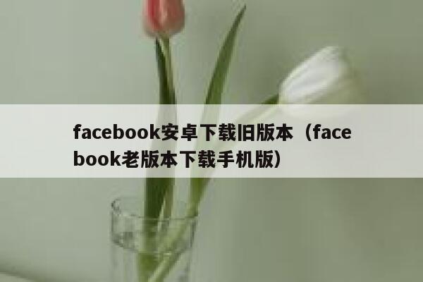 facebook安卓下载旧版本(facebook老版本下载手机版) 第1张 facebook安卓下载旧版本(facebook老版本下载手机版) 第1张