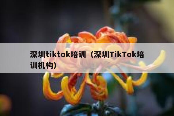 深圳tiktok培训(深圳TikTok培训机构) 第1张 深圳tiktok培训(深圳TikTok培训机构) 第1张