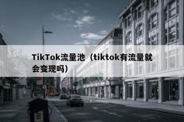 TikTok流量池（tiktok有流量就会变现吗） 第1张