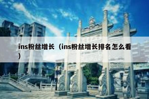 ins粉丝增长（ins粉丝增长排名怎么看） 第1张