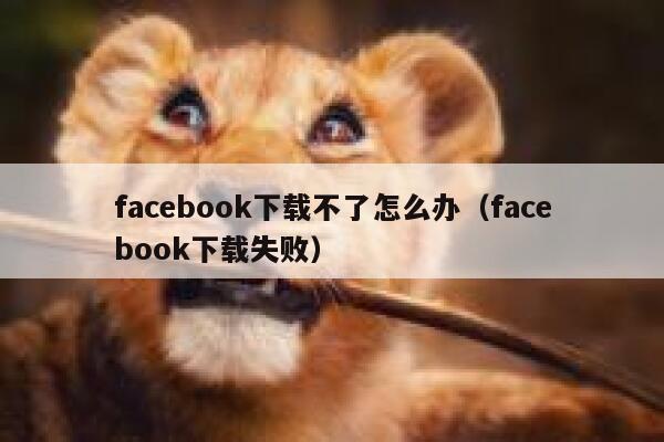 facebook下载不了怎么办（facebook下载失败） 第1张