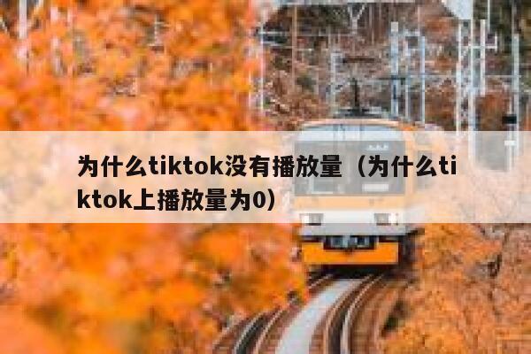 为什么tiktok没有播放量（为什么tiktok上播放量为0） 第1张
