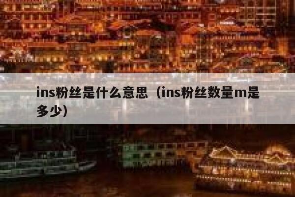 ins粉丝是什么意思（ins粉丝数量m是多少） 第1张