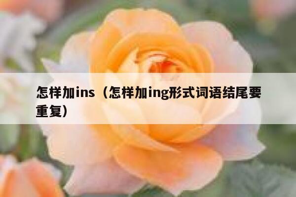 怎样加ins（怎样加ing形式词语结尾要重复） 第1张