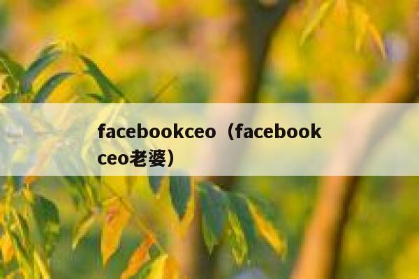 facebookceo(facebookceo老婆) 第1张 facebookceo(facebookceo老婆) 第1张
