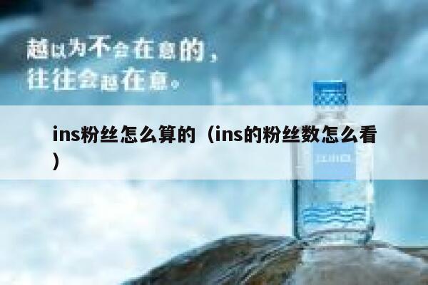 ins粉丝怎么算的(ins的粉丝数怎么看) 第1张 ins粉丝怎么算的(ins的粉丝数怎么看) 第1张