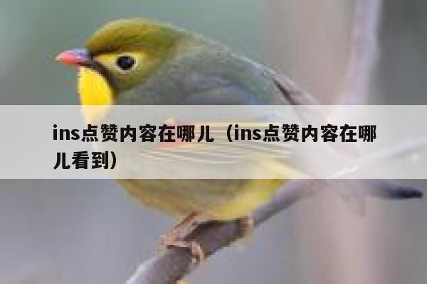 ins点赞内容在哪儿（ins点赞内容在哪儿看到） 第1张