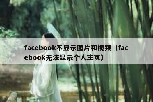 facebook不显示图片和视频（facebook无法显示个人主页） 第1张