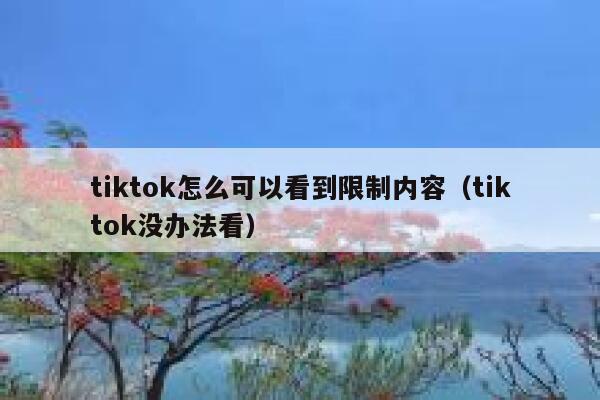 tiktok怎么可以看到限制内容（tiktok没办法看） 第1张