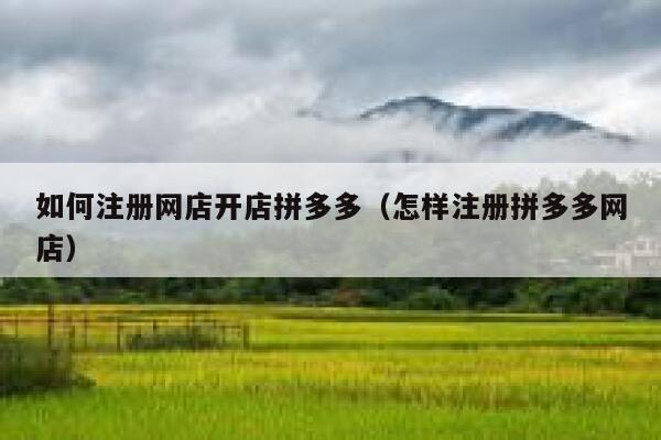 如何注册网店开店拼多多(怎样注册拼多多网店) 第1张 如何注册网店开店拼多多(怎样注册拼多多网店) 第1张