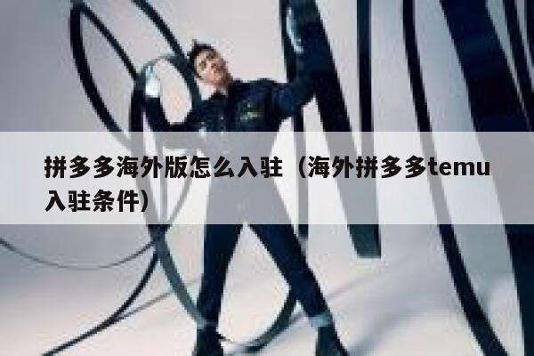 拼多多海外版怎么入驻(海外拼多多temu入驻条件) 第1张 拼多多海外版怎么入驻(海外拼多多temu入驻条件) 第1张