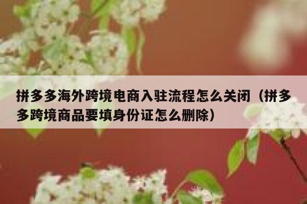 拼多多海外跨境电商入驻流程怎么关闭(拼多多跨境商品要填身份证怎么删除) 第1张 拼多多海外跨境电商入驻流程怎么关闭(拼多多跨境商品要填身份证怎么删除) 第1张