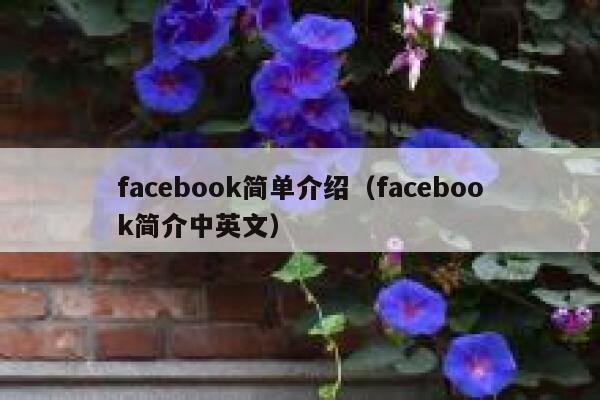 facebook简单介绍（facebook简介中英文） 第1张