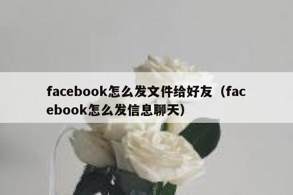 facebook怎么发文件给好友(facebook怎么发信息聊天) 第1张 facebook怎么发文件给好友(facebook怎么发信息聊天) 第1张
