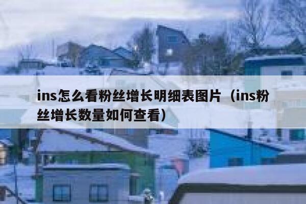 ins怎么看粉丝增长明细表图片（ins粉丝增长数量如何查看） 第1张