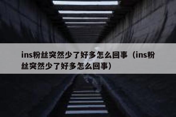 ins粉丝突然少了好多怎么回事（ins粉丝突然少了好多怎么回事） 第1张