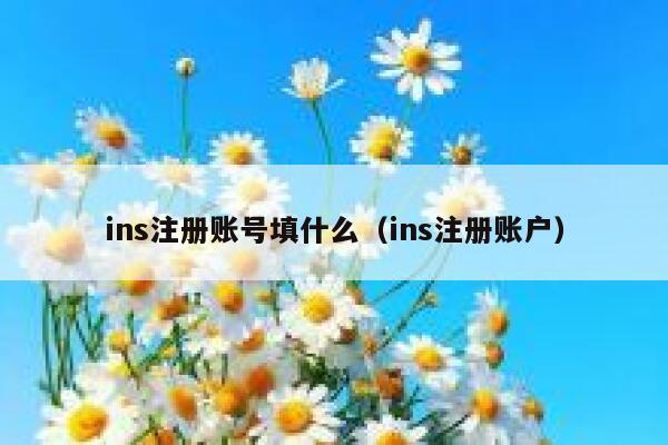ins注册账号填什么（ins注册账户） 第1张
