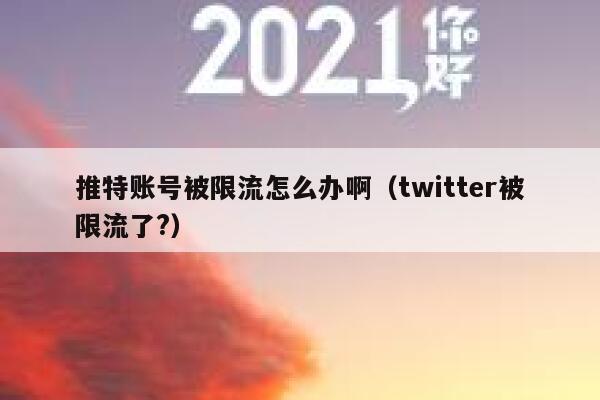推特账号被限流怎么办啊(twitter被限流了?) 第1张 推特账号被限流怎么办啊(twitter被限流了?) 第1张