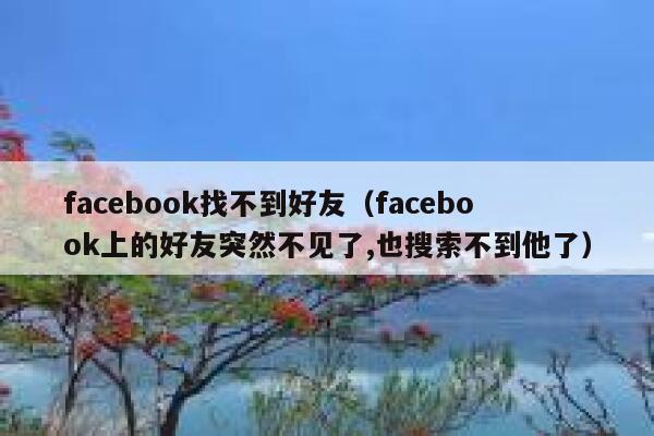 facebook找不到好友（facebook上的好友突然不见了,也搜索不到他了） 第1张