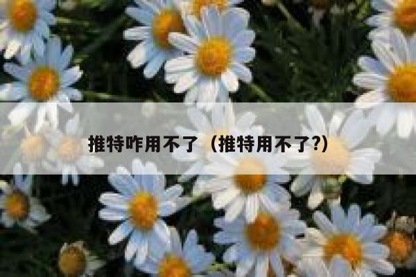 推特咋用不了（推特用不了?） 第1张