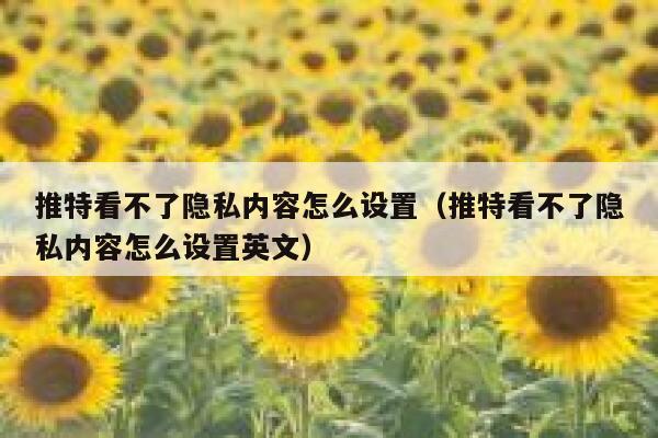 推特看不了隐私内容怎么设置（推特看不了隐私内容怎么设置英文） 第1张