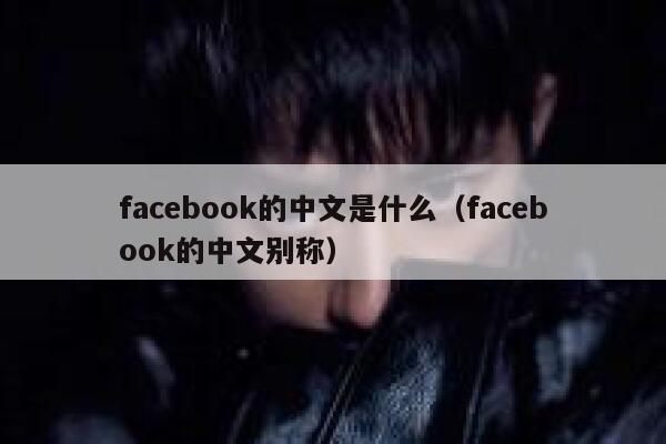 facebook的中文是什么（facebook的中文别称） 第1张