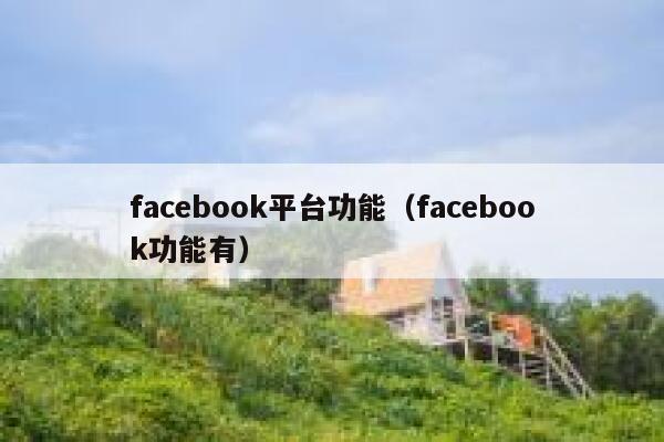 facebook平台功能（facebook功能有） 第1张