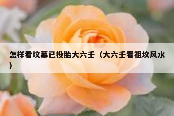 怎样看坟墓已投胎大六壬（大六壬看祖坟风水） 第1张