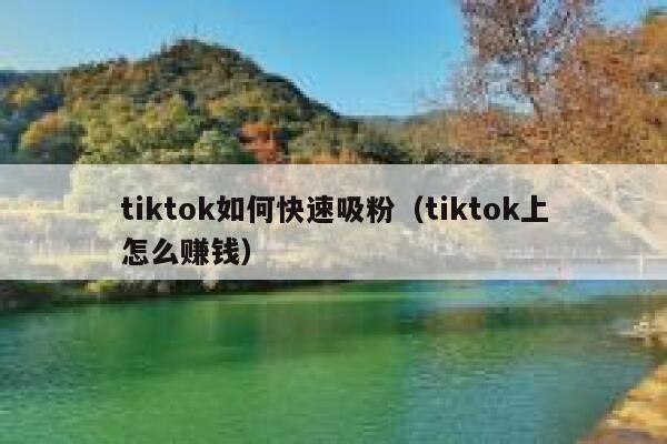 tiktok如何快速吸粉（tiktok上怎么赚钱） 第1张