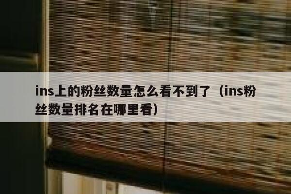 ins上的粉丝数量怎么看不到了(ins粉丝数量排名在哪里看) 第1张 ins上的粉丝数量怎么看不到了(ins粉丝数量排名在哪里看) 第1张