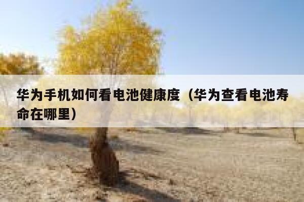 华为手机如何看电池健康度(华为查看电池寿命在哪里) 第1张 华为手机如何看电池健康度(华为查看电池寿命在哪里) 第1张