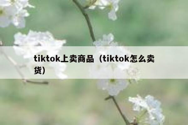 tiktok上卖商品（tiktok怎么卖货） 第1张