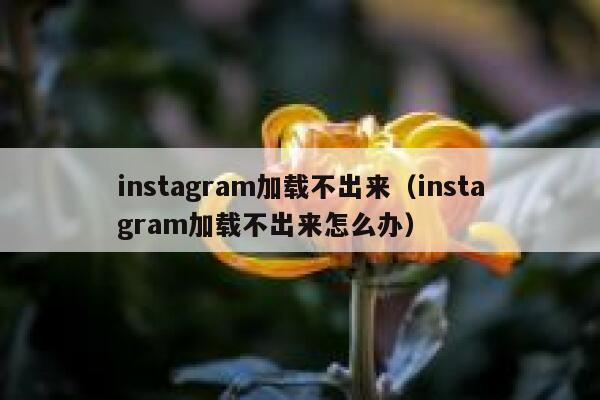 instagram加载不出来（instagram加载不出来怎么办） 第1张