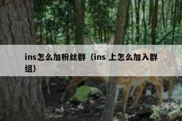 ins怎么加粉丝群（ins 上怎么加入群组） 第1张