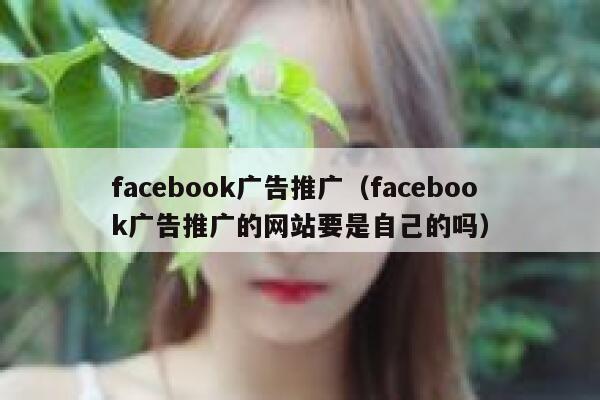 facebook广告推广（facebook广告推广的网站要是自己的吗） 第1张
