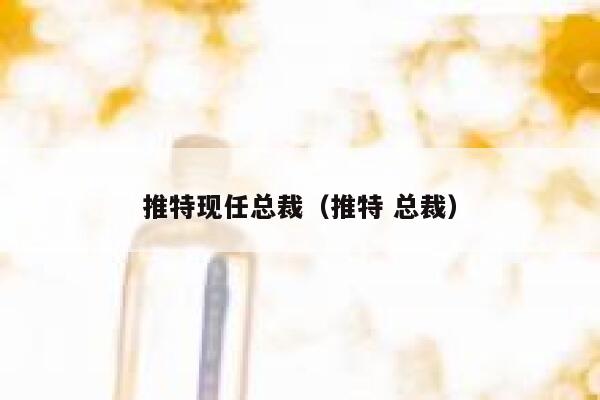 推特现任总裁（推特 总裁） 第1张