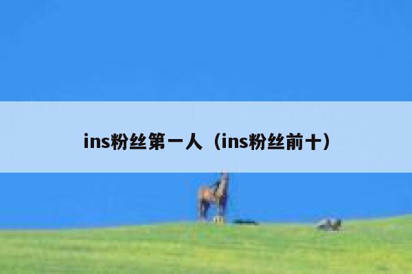 ins粉丝第一人（ins粉丝前十） 第1张