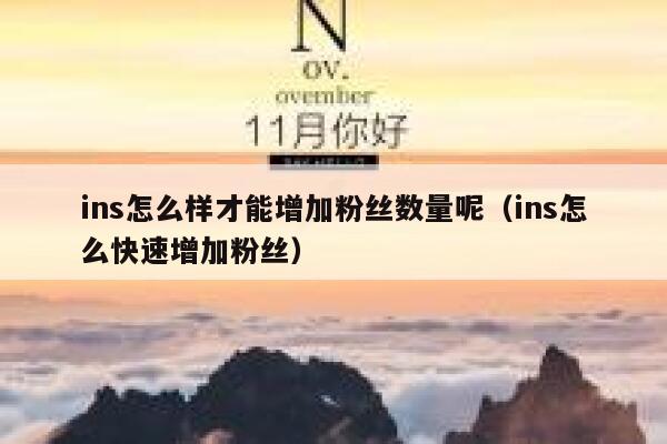 ins怎么样才能增加粉丝数量呢（ins怎么快速增加粉丝） 第1张