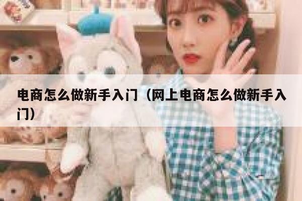 电商怎么做新手入门（网上电商怎么做新手入门） 第1张