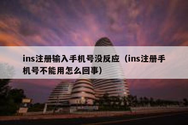 ins注册输入手机号没反应（ins注册手机号不能用怎么回事） 第1张